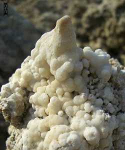 cave popcorn cave coral photograph with stalagmites outside not in a cave