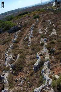 electric discharge limestone heritage park rabat mdina