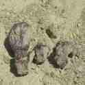 iron stones found at Marsalforn Bay, Gozo - Qolla Bajda (White Knoll)